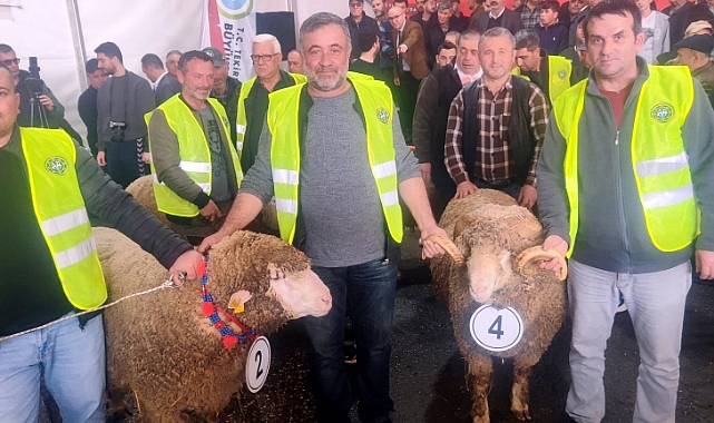 Malkara’da koç güzellik yarışmasının kazanını ‘Şakir’ oldu