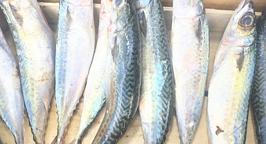 Nisan Ayında Balık Tüketimi Neden Önemli?