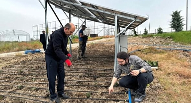 TRAKYA ÜNİVERSİTESİ’NDE AGRİVOLTAİK SİSTEM ARAŞTIRMALARI BAŞLADI