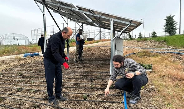TRAKYA ÜNİVERSİTESİ’NDE AGRİVOLTAİK SİSTEM ARAŞTIRMALARI BAŞLADI