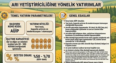 Arı Yetiştiriciliğine Destek Başvuruları Başladı