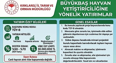Büyükbaş Hayvan Yetiştiriciliğine Dev Destek! Başvurular Resmen Başladı