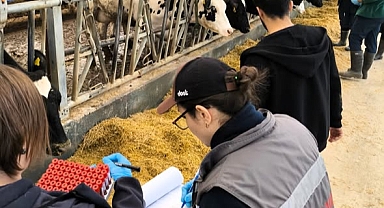 Kırklareli’nde Ari İşletmelerde Sağlık Denetimleri Devam Ediyor