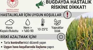 Kırklareli’nde Buğday Üreticilerine Hastalık Uyarısı: Verim Kaybına Karşı Erken Mücadele Şart