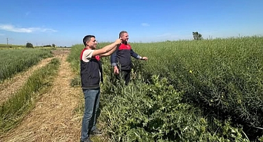 Kırklareli’nde CBS Destekli Tarım Çalışmalarıyla Dijital Üretim Dönemi