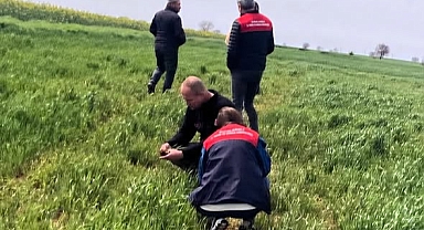 Kırklareli’nde Hububat Alanlarında Yoğun Saha Denetimi Başladı