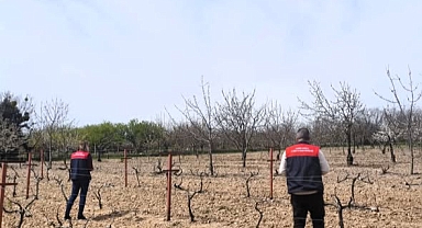 Kırklareli’nde Tarımsal Üretimde Yeni Dönem: Meyve ve Bağ Alanları Mercek Altında