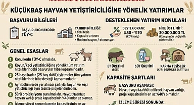Küçükbaş Hayvan Yetiştiriciliğine Destek Başvuruları Başladı