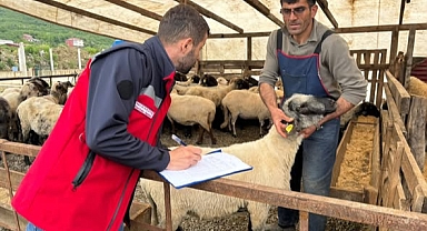 Kurban Bayramı Öncesi Türkiye Genelinde Sıkı Denetim: Tarım ve Orman Bakanlığı Sahada