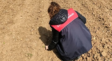 Pehlivanköy’de Ayçiçeği Tarlalarında Teknik Kontroller Sürüyor