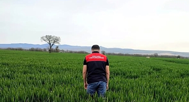Pınarhisar’da Hububat Alanlarında Fenolojik Gözlemler Sürüyor