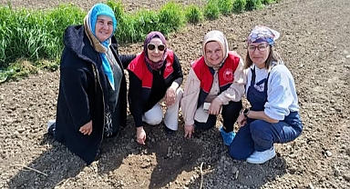 Toprak Kadın Çiftçilerimizle Canlanıyor: Babaeski’nde Fasulye Tohumları Toprakla Buluştu