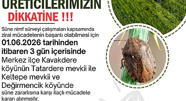 Kırklareli’nde Süne Zararlısına Karşı İlaçlı Mücadele Başlıyor